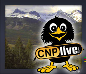 CNPlive Live Webcams
